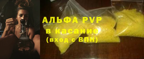 СК Бронницы