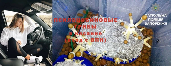 а пвп мука Бородино