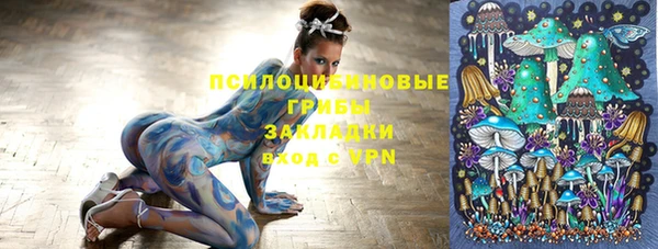 СК Бронницы