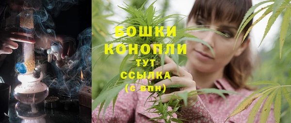 СК Бронницы
