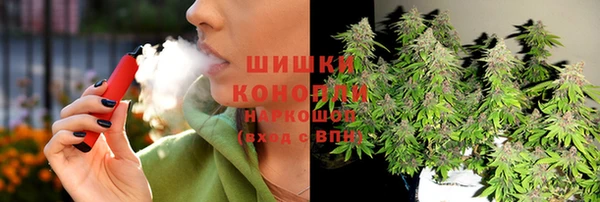 СК Бронницы