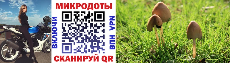 Псилоцибиновые грибы мицелий  дарнет шоп  Миллерово 